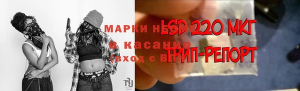spice Алзамай