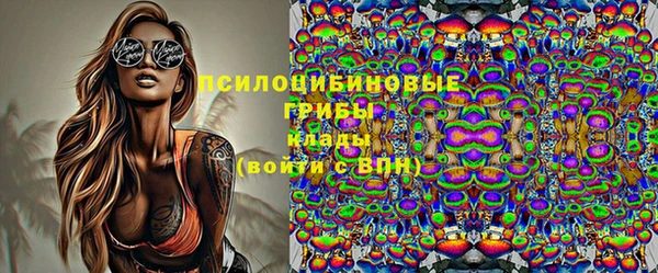 spice Алзамай