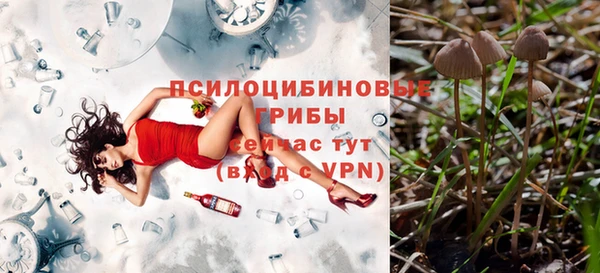 гашик Алексеевка