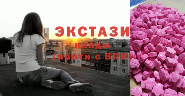 гашик Алексеевка
