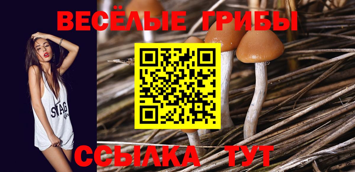 Псилоцибиновые грибы Magic Shrooms Полысаево