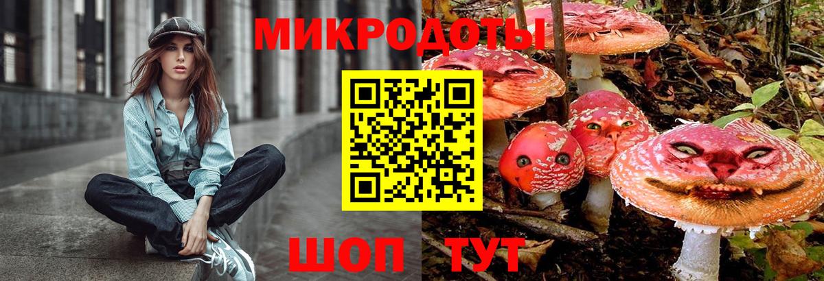 Полысаево  Галлюциногенные грибы Magic Shrooms  Псилоцибиновые грибы Cubensis  Вход с VPN 